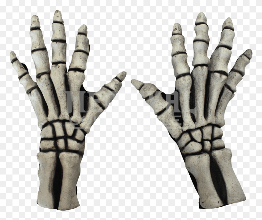853x707 Skeleton Gloves, Person, Human, Hand HD PNG Download