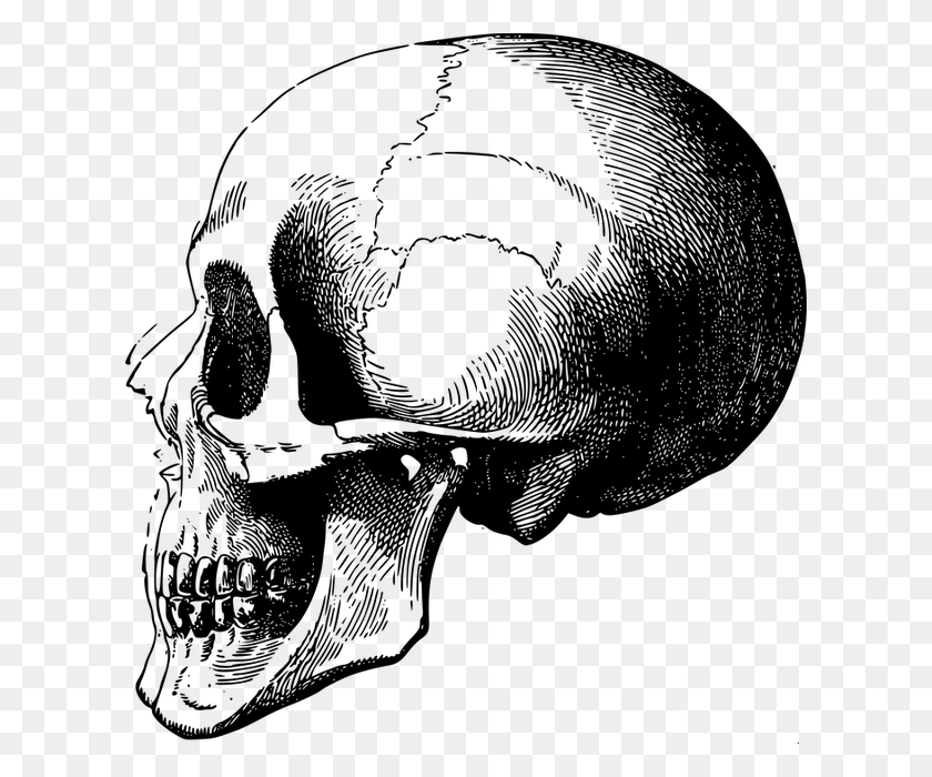 614x640 Skeleton Head, Gray, World Of Warcraft HD PNG Download