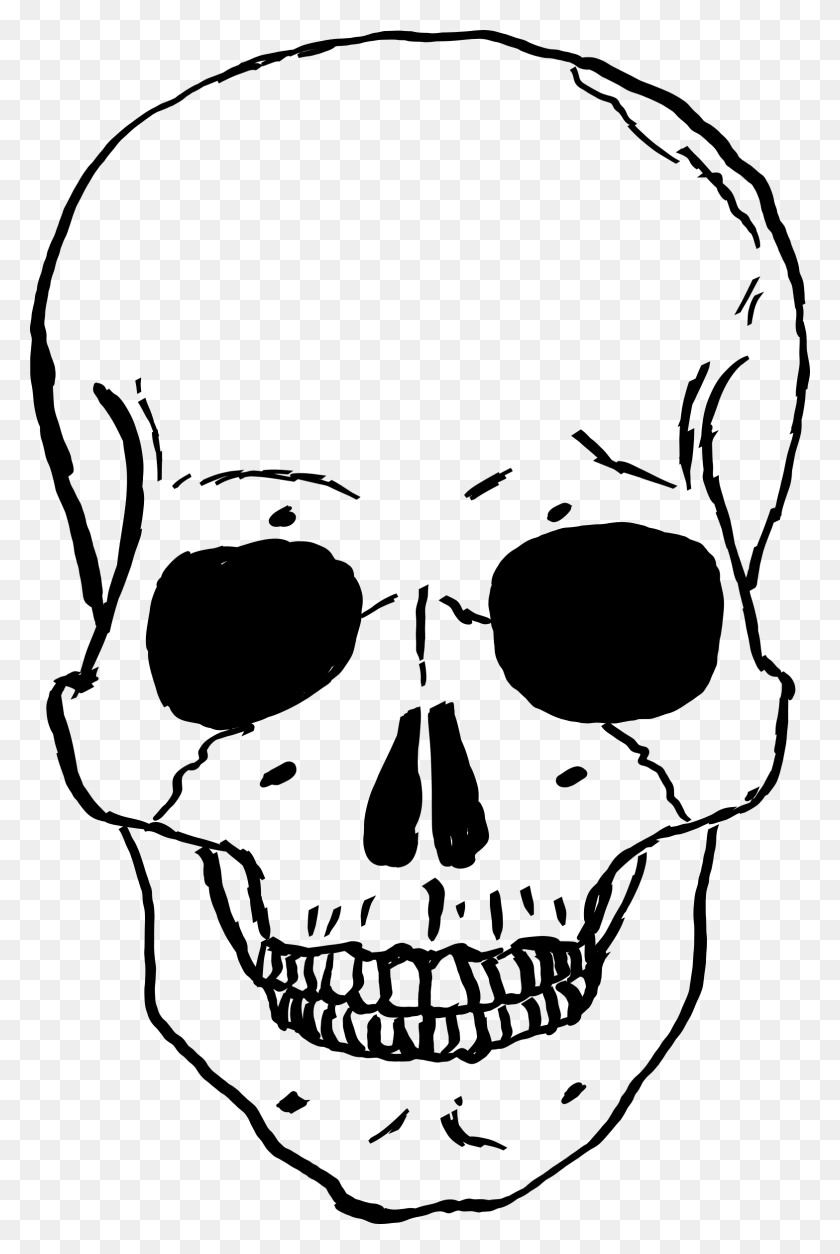 1567x2400 Скелет Голова Прозрачный Человеческий Череп Мультфильм, Серый, Мир Варкрафта Png Скачать