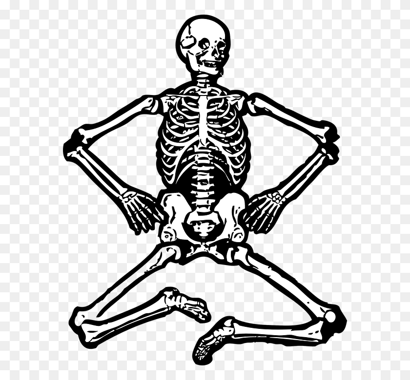 582x720 Skeleton Human Skeleton Bones Skull Skeletal Skeleton Clip Art, Person, Stencil HD PNG Download