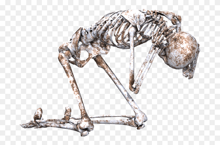 697x496 Skeleton Pose Skull Bones 3d Kneeling Skeleton Pose, Dinosaur, Reptile, Animal HD PNG Download