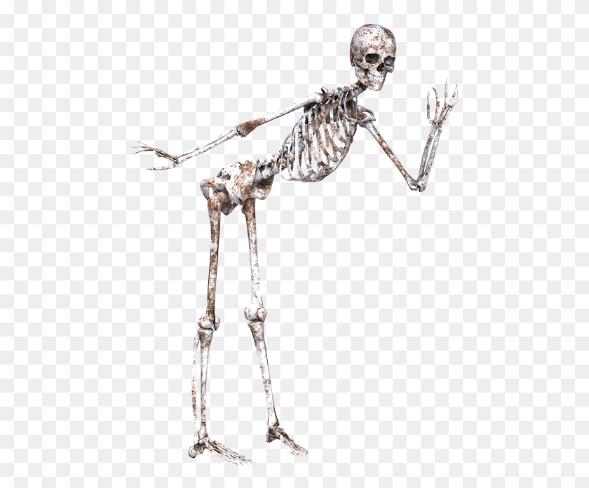 475x636 Descargar Png / Esqueleto Postura Huesos De Calavera De Pie 3D
