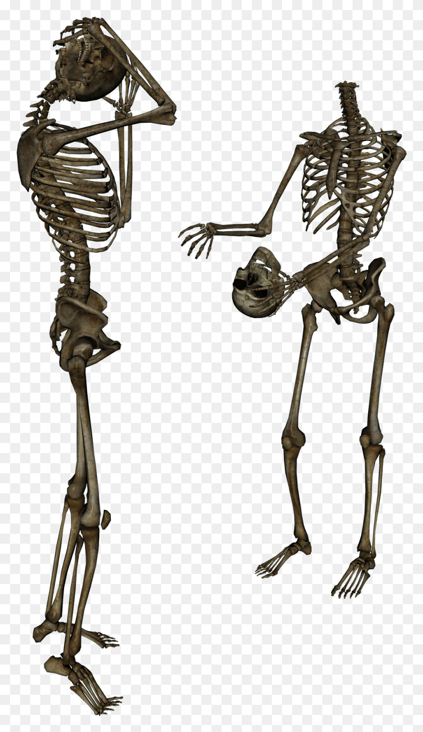 948x1695 Esqueleto Png / Esqueleto Hd Png