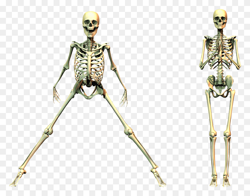 2473x1902 Skeleton Worshiping By Markopolio Spooky Skeleton, Bow, Person, Human HD PNG Download