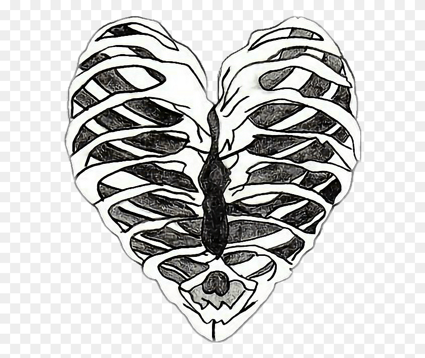 588x648 Skeletons Drawing Aesthetic Heart Skeleton Drawing, Plant, Flower, Blossom HD PNG Download