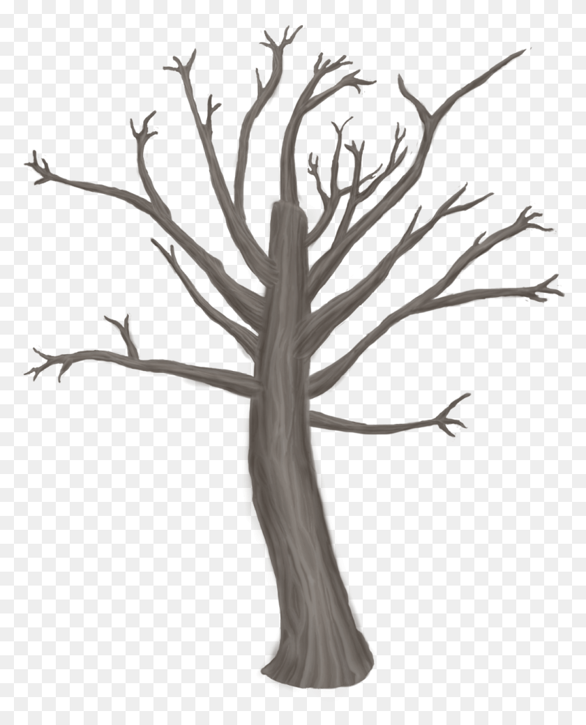 1037x1304 Sketch, Tree, Plant, Cross HD PNG Download