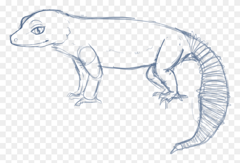 858x562 Sketch, Animal, Reptile, Elephant HD PNG Download