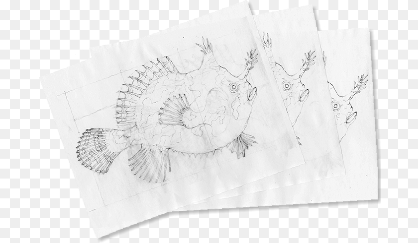 Sketch, Art, Drawing Clipart PNG