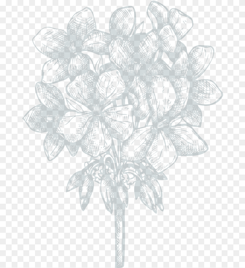 Sketch, Nature, Outdoors, Pattern, Art PNG