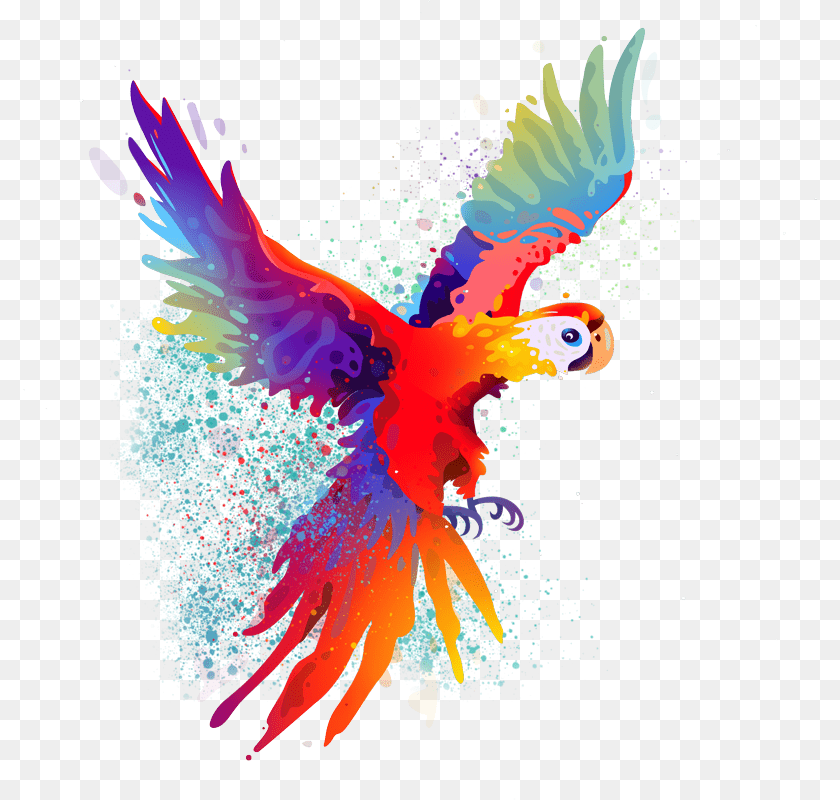 Sketches App Parrot, Animal, Bird, Person Sticker PNG