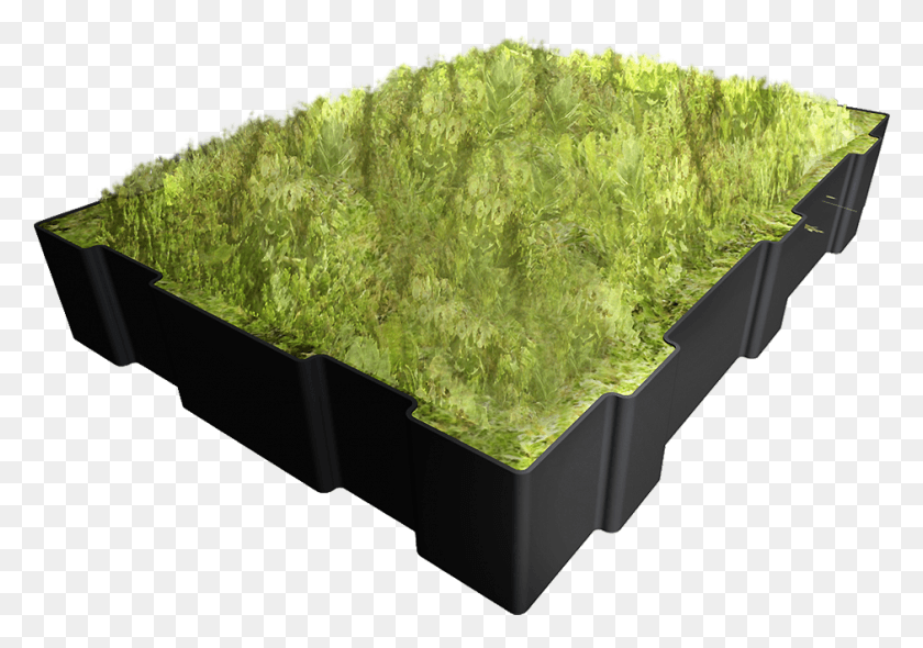 940x639 Sketchup Green Roof, Moss, Plant, Bush HD PNG Download