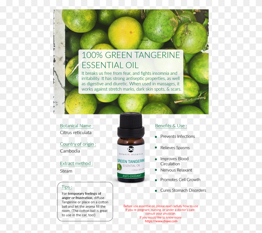 498x688 Skin Lime, Plant, Citrus Fruit, Fruit HD PNG Download