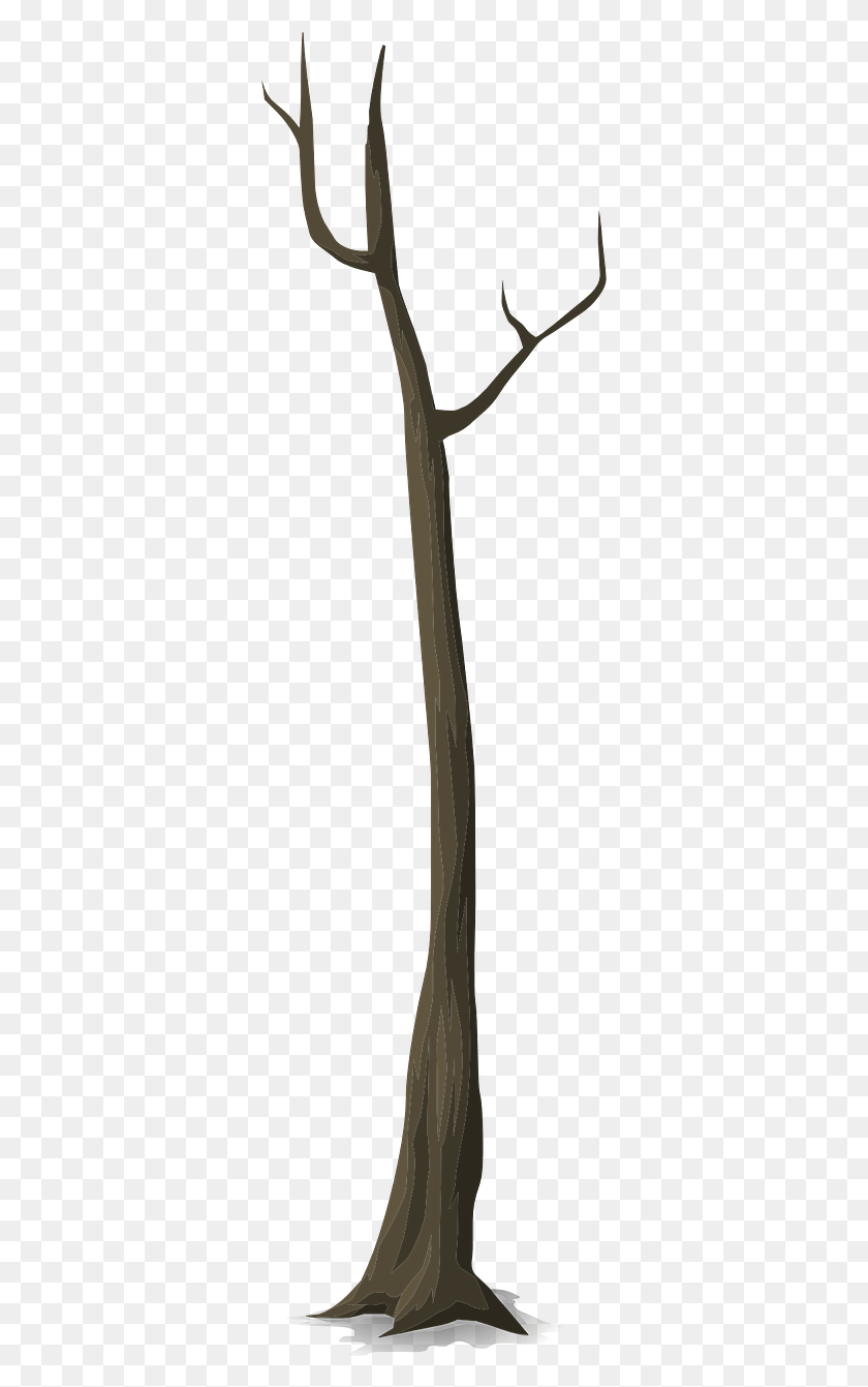 339x1281 Skinny Tree With Branches, Tool, Hammer, Electronics HD PNG Download