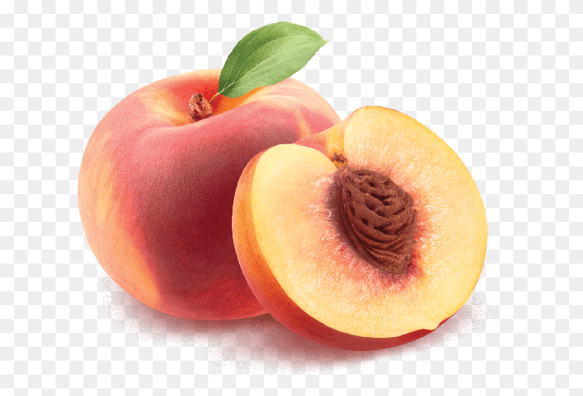 617x511 Skip To The Beginning Of The Images Gallery White Peach, Plant, Fruit, Food HD PNG Download