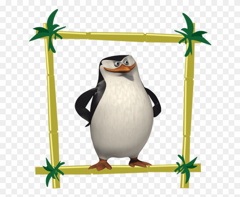 640x629 Шкипер Пингвин С Мадагаскара, Птица, Животное, Клюв Hd Png Скачать