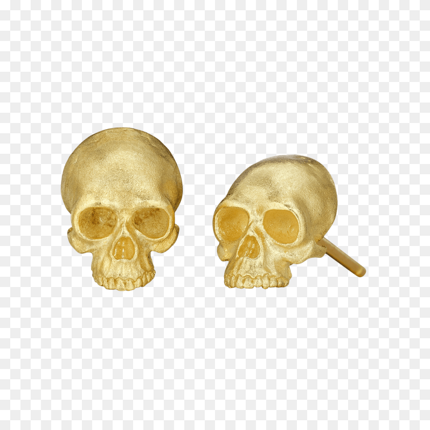 1000x1000 Skull, Skeleton HD PNG Download