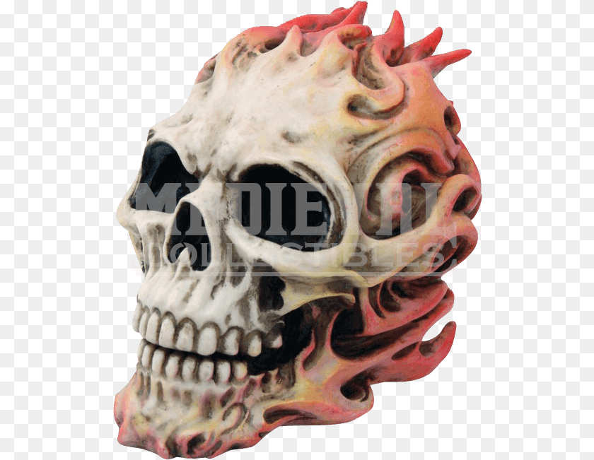 523x651 Skull, Accessories, Ornament, Animal, Dinosaur PNG