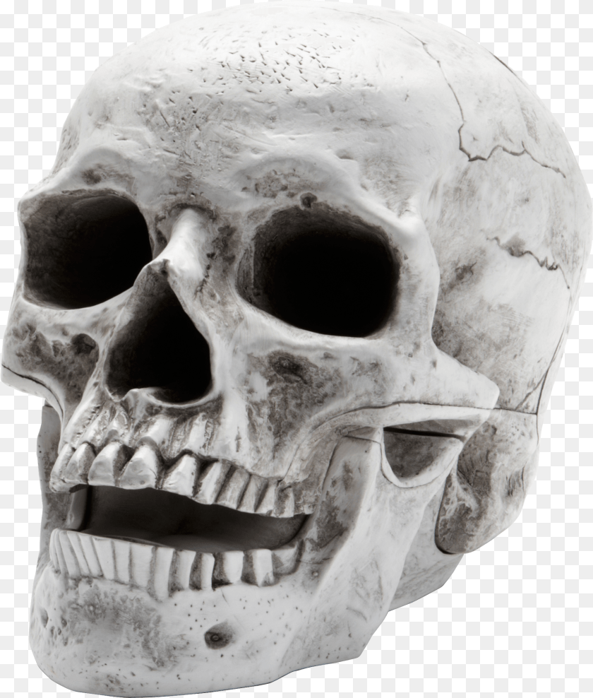 1795x2111 Skull, Person, Head, Face Sticker PNG