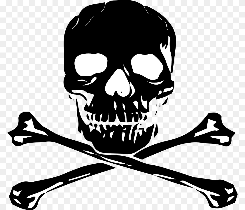 Skull, Baby, Person, Head, Face PNG