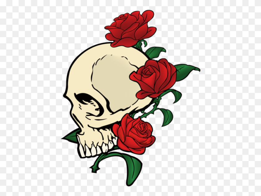 452x573 Skull Amp Roses Vector, Rose, Flower, Plant HD PNG Download