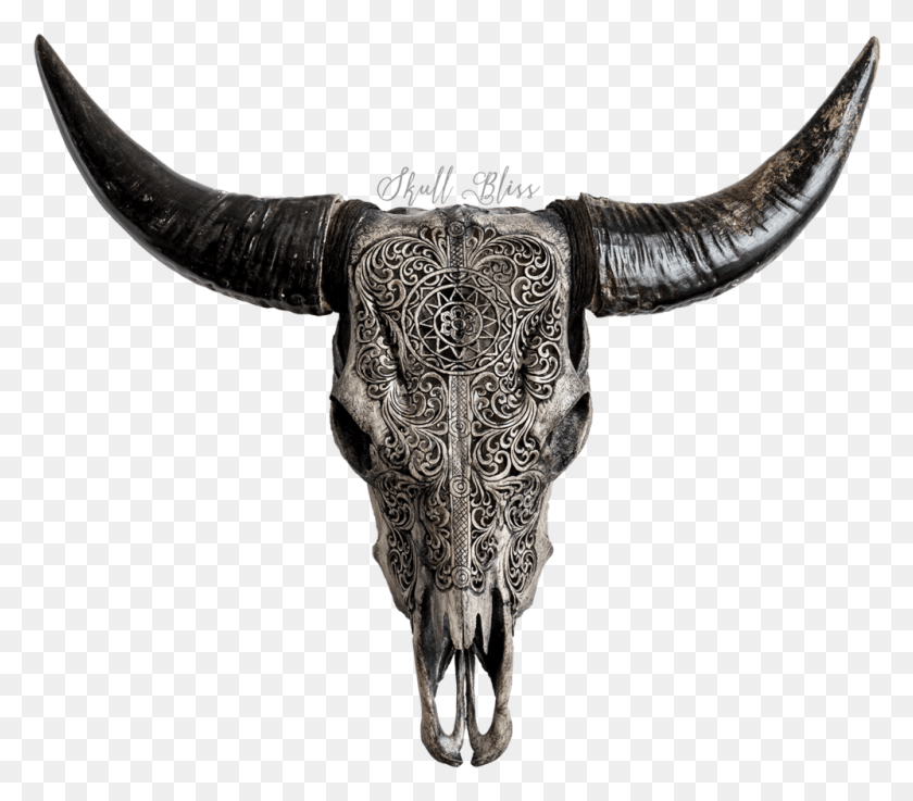 998x867 Skull Bliss, Longhorn, Cattle, Mammal HD PNG Download