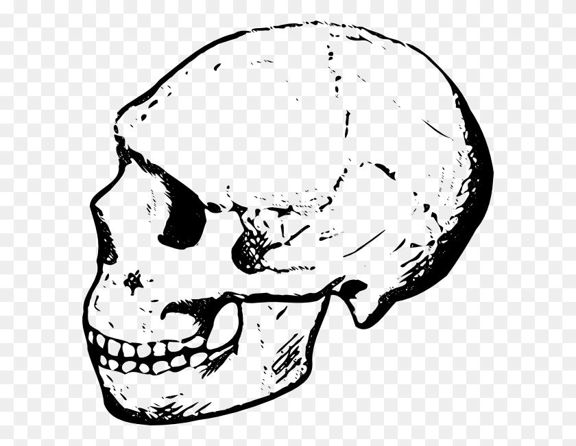 600x590 Skull Free Skull Clipart Black And White, Head, Jaw, Face HD PNG Download