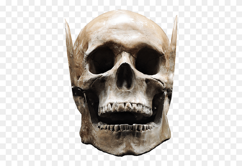 397x519 Skull Isolated Skull And Crossbones Bone Finality Skull, Head, Jaw, Teeth HD PNG Download