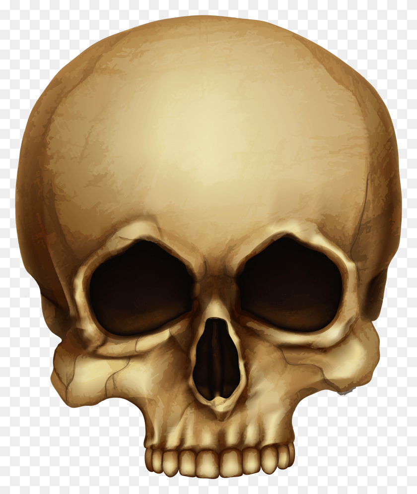 3001x3605 Skull Skeleton Clip Art Skulls Pics Transparent HD PNG Download