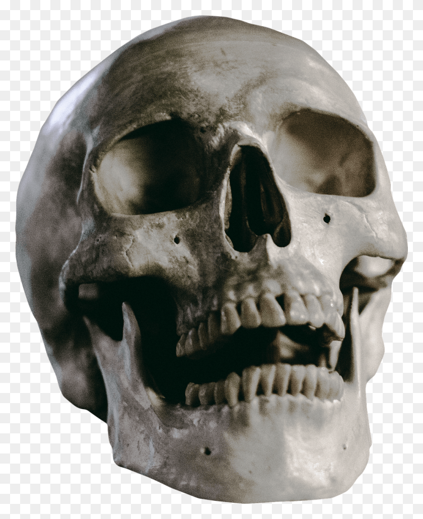 1029x1280 Skull Skeleton Head Hurricane Michael Skull, Jaw, Helmet, Clothing HD PNG Download