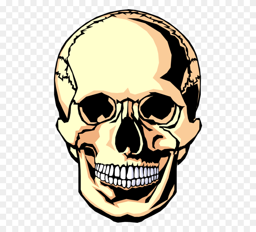 486x700 Skull Vector Blank Dia De Los Muertos Skull, Head, Face, Person HD PNG Download