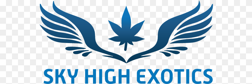 Sky High Exotics 91 Supreme Vape Pen, Emblem, Symbol, Logo, Baby Transparent PNG
