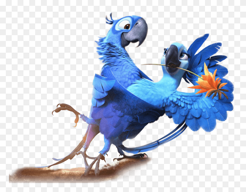 1211x926 Sky Pajaro Rio, Animal, Bird, Parrot HD PNG Download