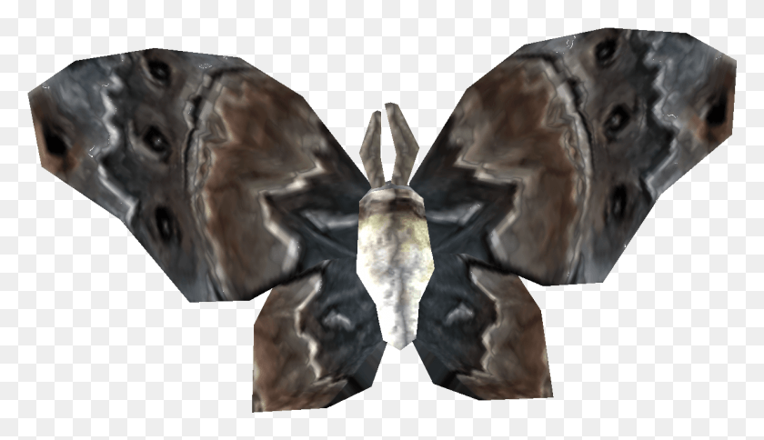 1259x685 Skyrim Ancestor Moth, Sculpture, Statue HD PNG Download