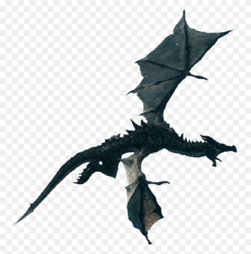750x789 Skyrim Dragon Skyrim Dragón Volando Fondo Transparente, Lagarto, Reptil, Animal Hd Png Descargar