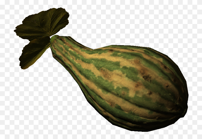 728x519 Skyrim Gourd, Plant, Produce, Vegetable HD PNG Download