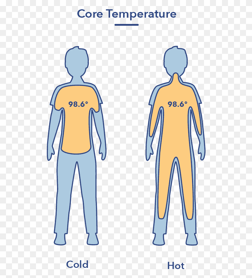 530x869 Sleep And The Body Article Graphic Cartoon, Clothing, Apparel, Sleeve HD PNG Download