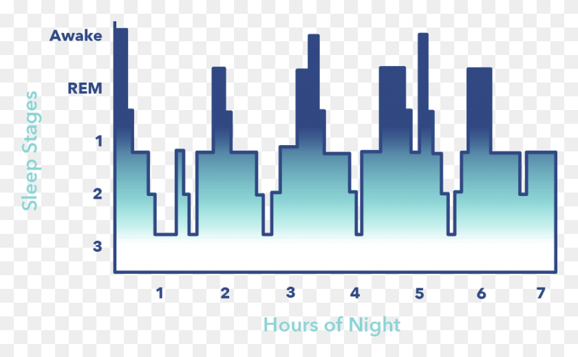 875x515 Sleep Education Article 4 Stages Of Sleep Graphic Plot, Text, Diagram, Electronics HD PNG Download