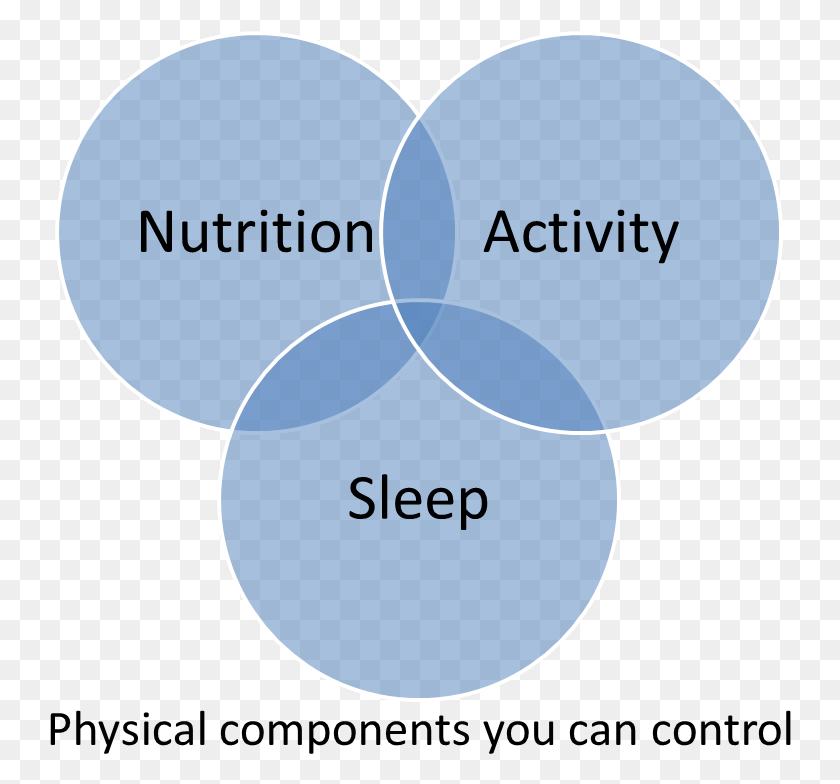 742x724 Sleep Nutrition Physical Activity, Diagram, Plot, Text HD PNG Download