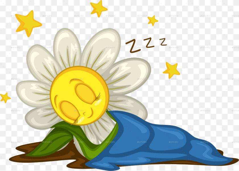 Sleeping Daisy, Art, Flower, Graphics, Plant PNG