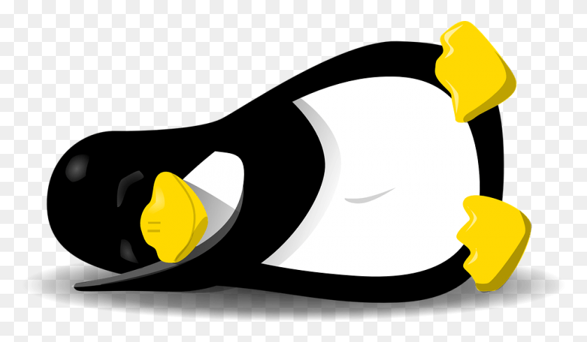 960x529 Pingüino Dormido Rey Dormir Png