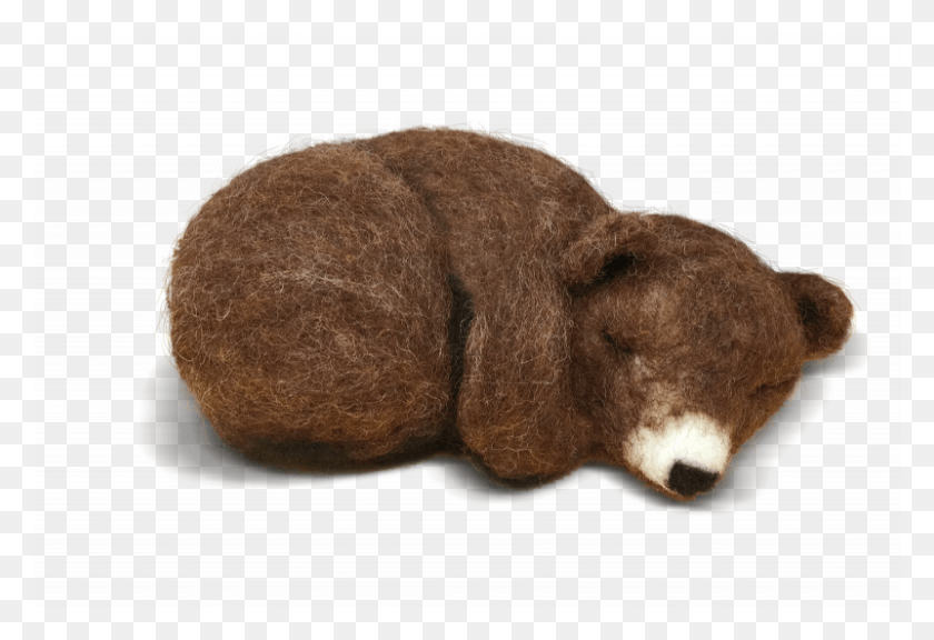 801x530 Sleepy Brown Bear Cub Needle Felting Kit Punxsutawney Phil, Mammal, Animal, Wildlife HD PNG Download