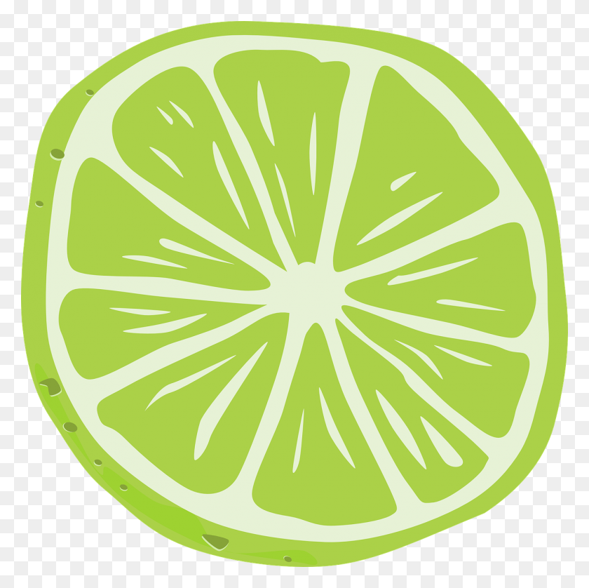 1280x1277 Slice Green Juicy Image Picpng Clipart Lime, Citrus Fruit, Fruit, Plant HD PNG Download