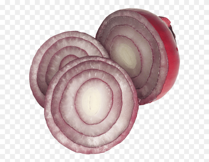 610x592 Sliced Onions Red Onion, Plant, Rose, Flower HD PNG Download