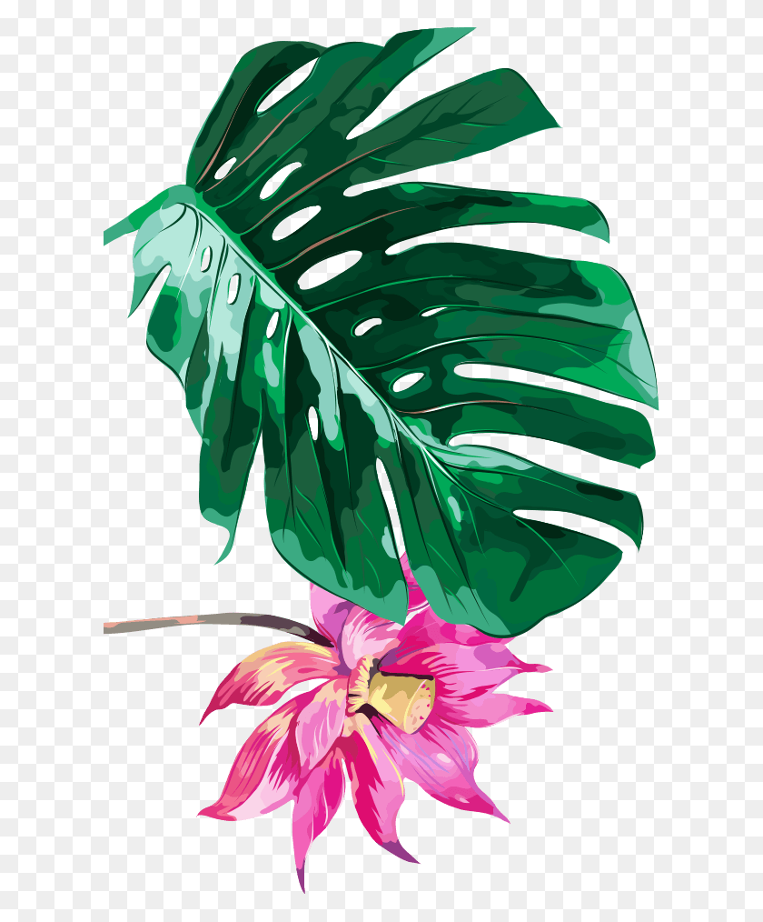 612x954 Slide3 Img 5 Пальмы Тропические, Растение, Лист, Цветок Hd Png Скачать