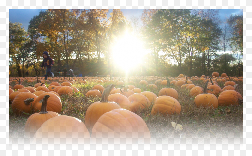 1241x731 Slider 009 Hasting Ranch And Farm, Person, Human, Flare HD PNG Download