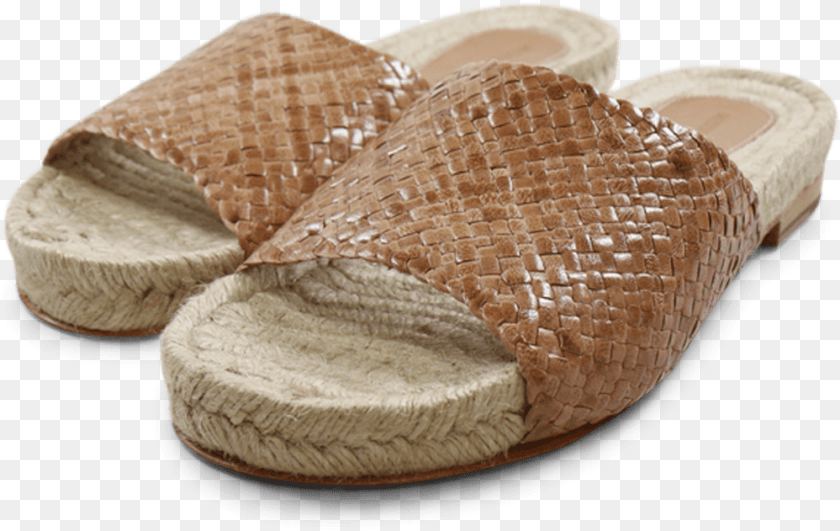 Slip On Shoe, Clothing, Footwear, Sandal, Animal PNG