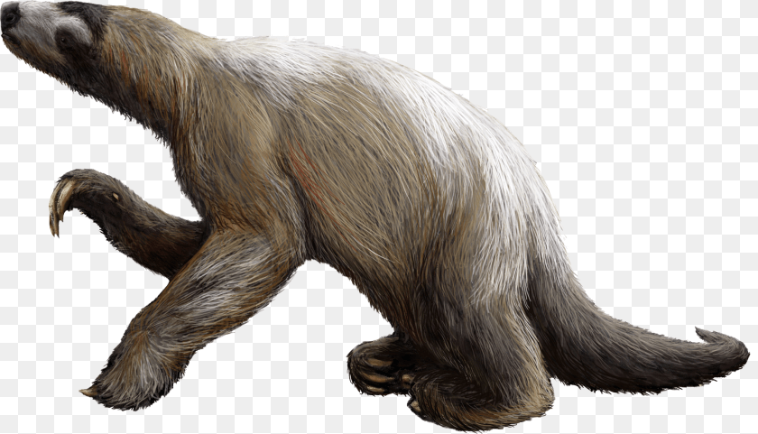 Sloth, Animal, Bird, Mammal, Wildlife Sticker PNG