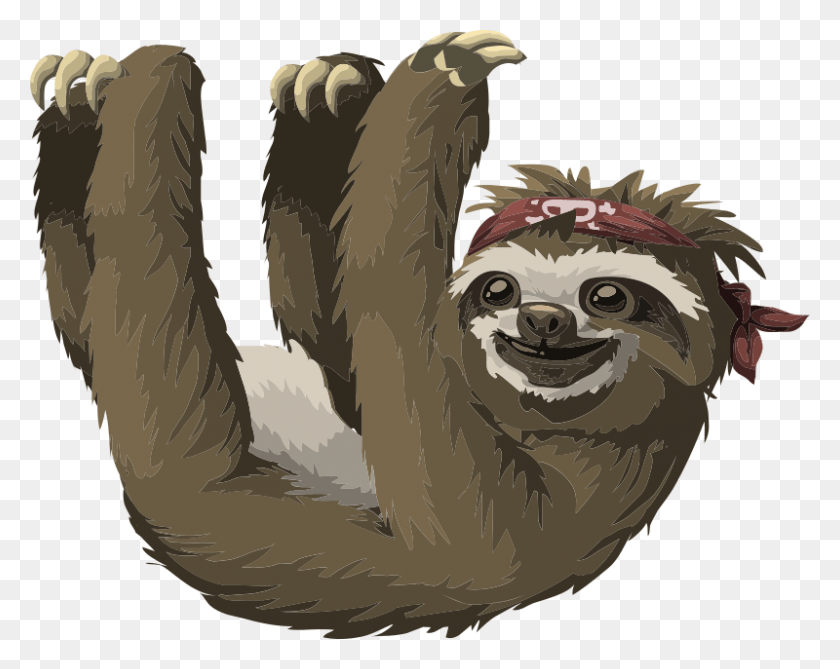 800x625 Sloth Clip Art, Animal, Mammal, Bird HD PNG Download