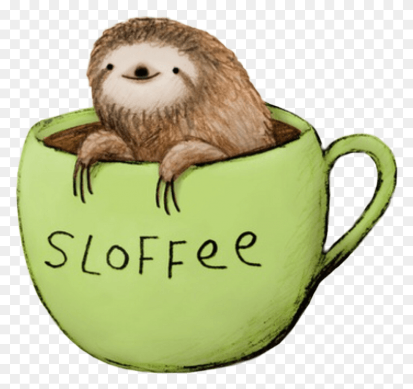 1024x960 Sloth Coffee, Animal, Bird, Coffee Cup HD PNG Download