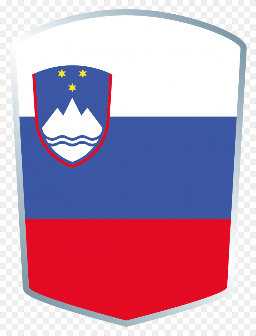 2270x3024 Slovenia Flag, First Aid, Text, Label HD PNG Download